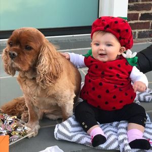 Meet your Posher, Lindsey